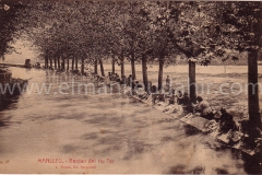 rentants13
